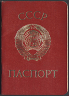 Как восстановить утерянный паспорт. Как получить паспорт РФ взамен старого паспорта гражданина СССР preview 3